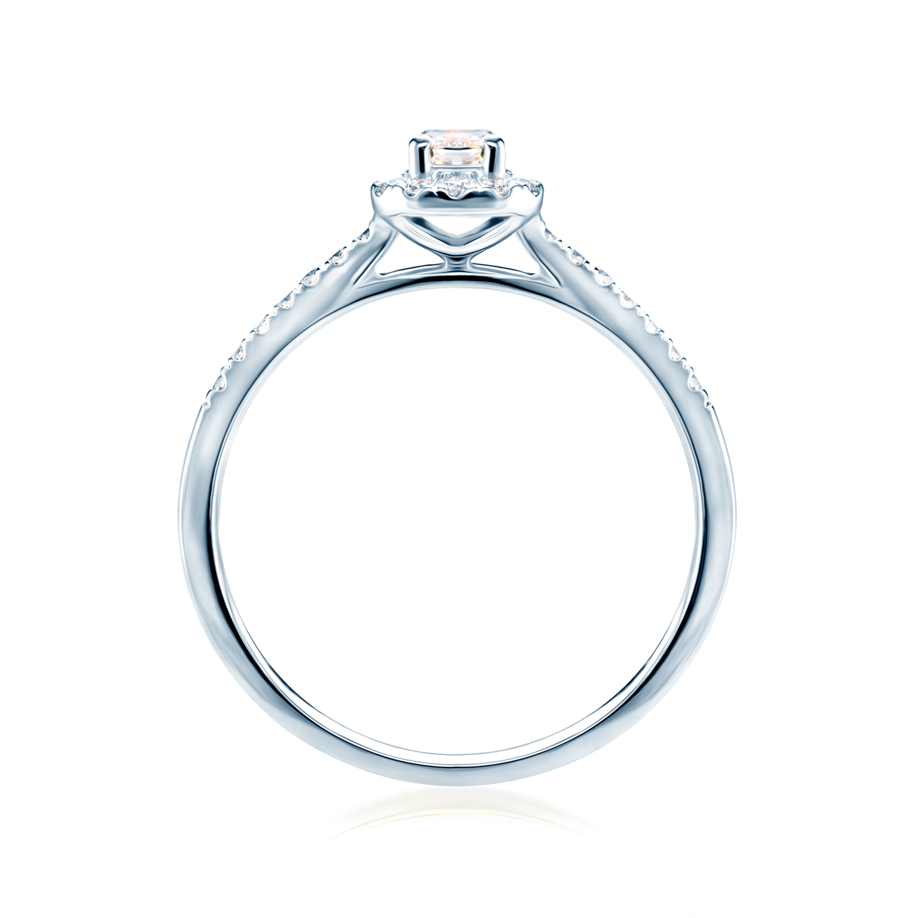 Photo of the product