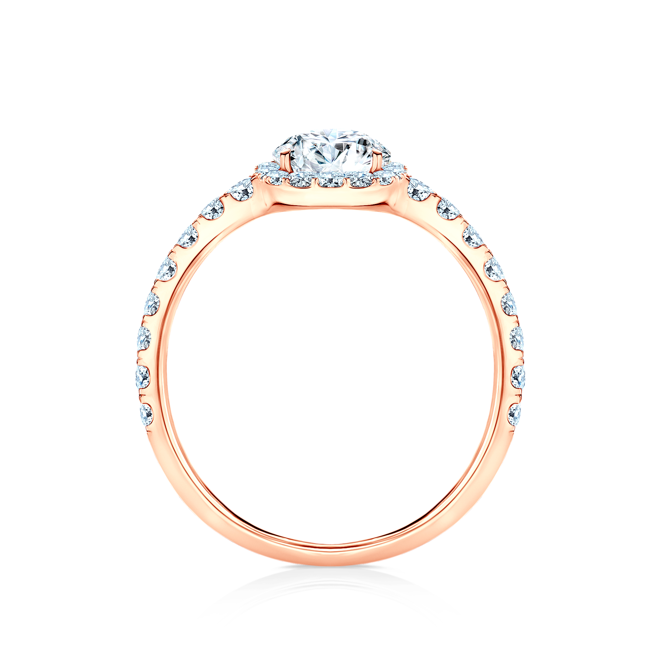 Photo of the product