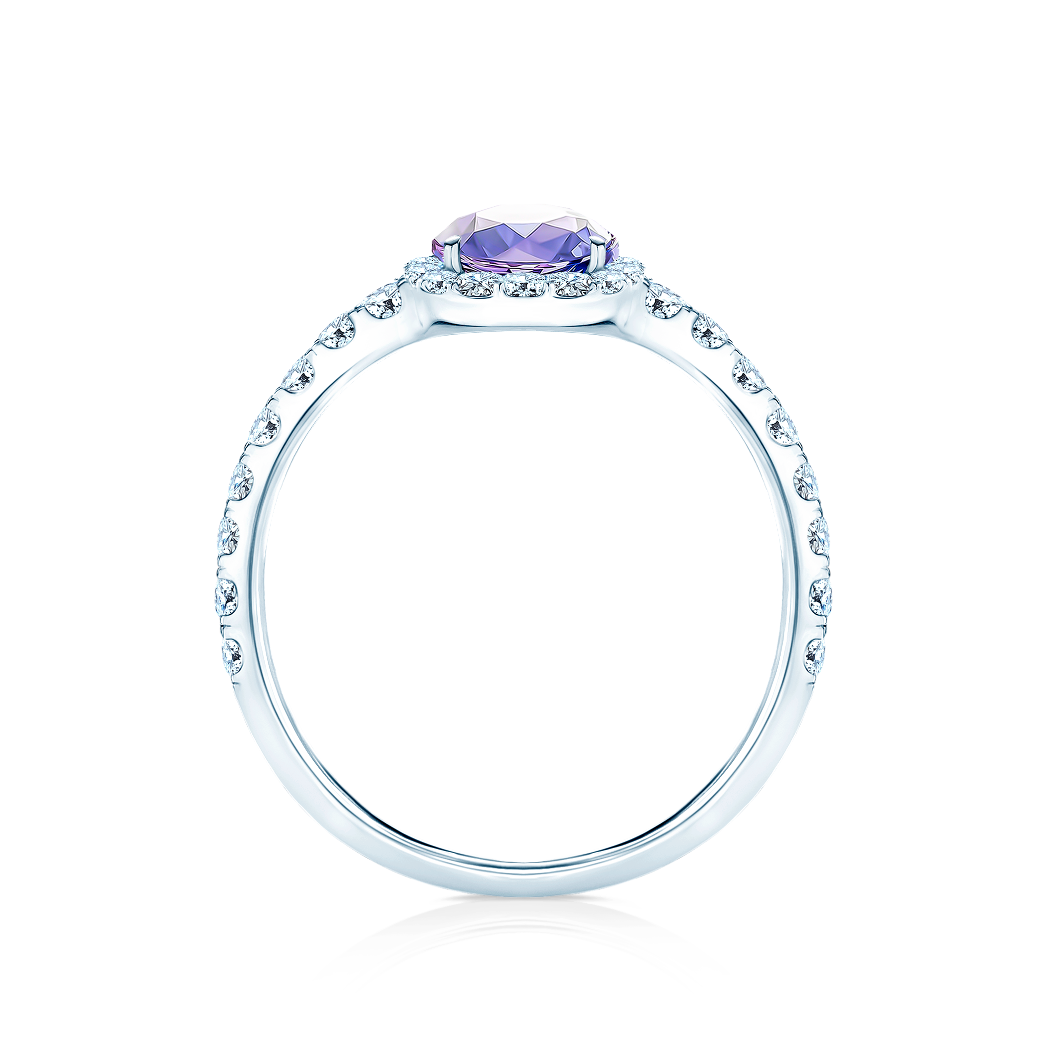 Photo of the product