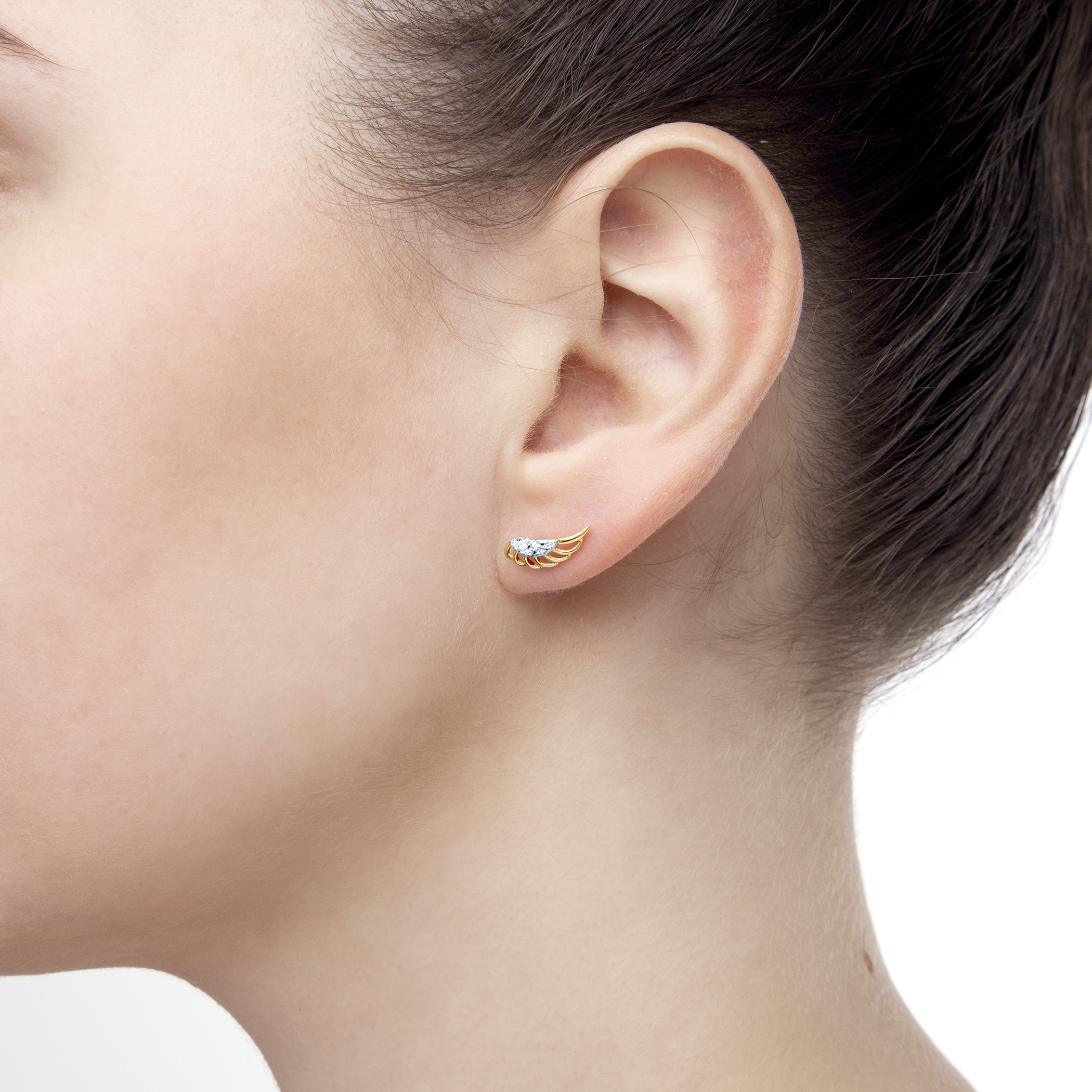 Photo of the product