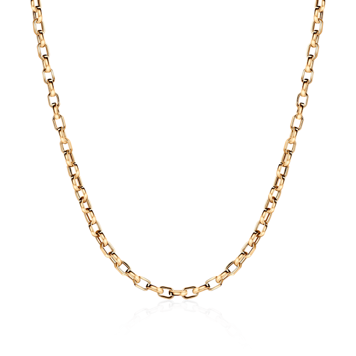 Chain SAVICKI: gold