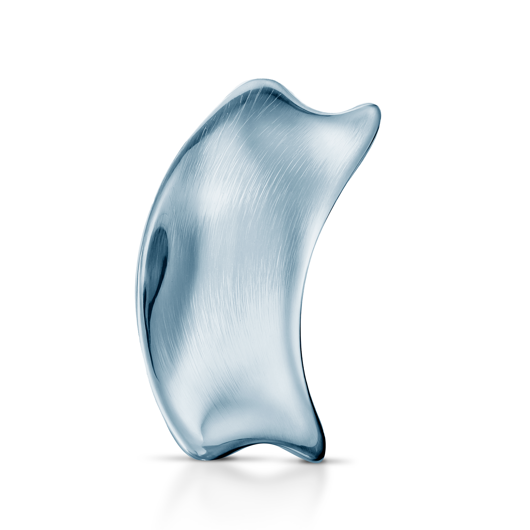 Ring SAVICKI: Silber