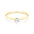 The Journey Collection | Solitaire Engagement Ring: gold, diamond