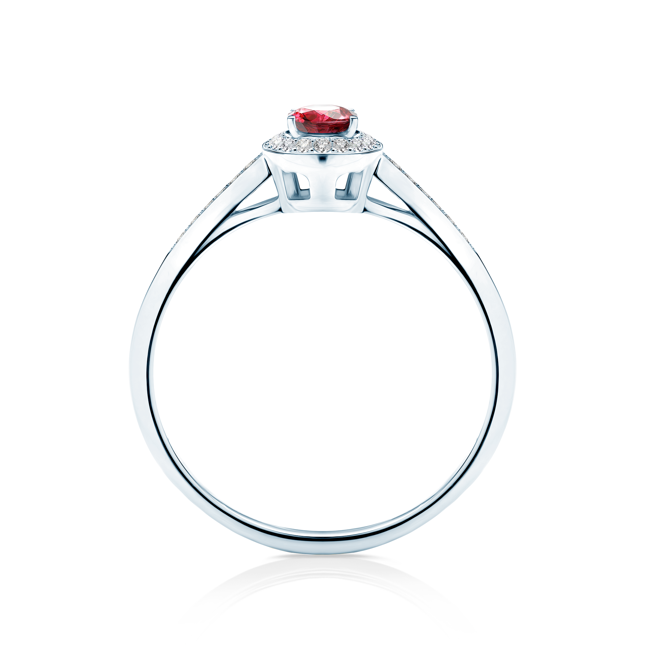 Photo of the product